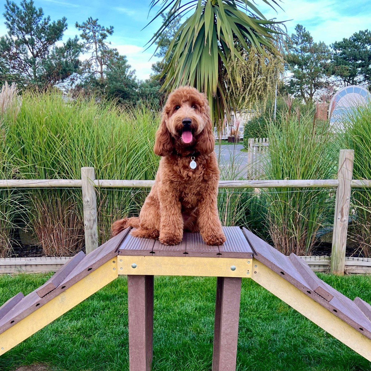 Caister – on – Sea,&nbsp;Norfolk