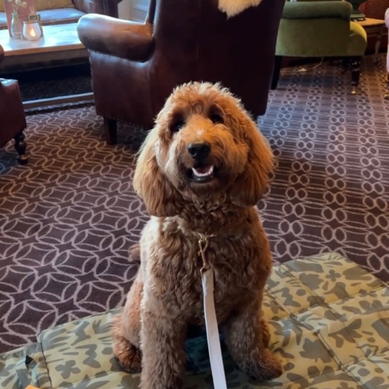 Burley Manor, New&nbsp;Forest