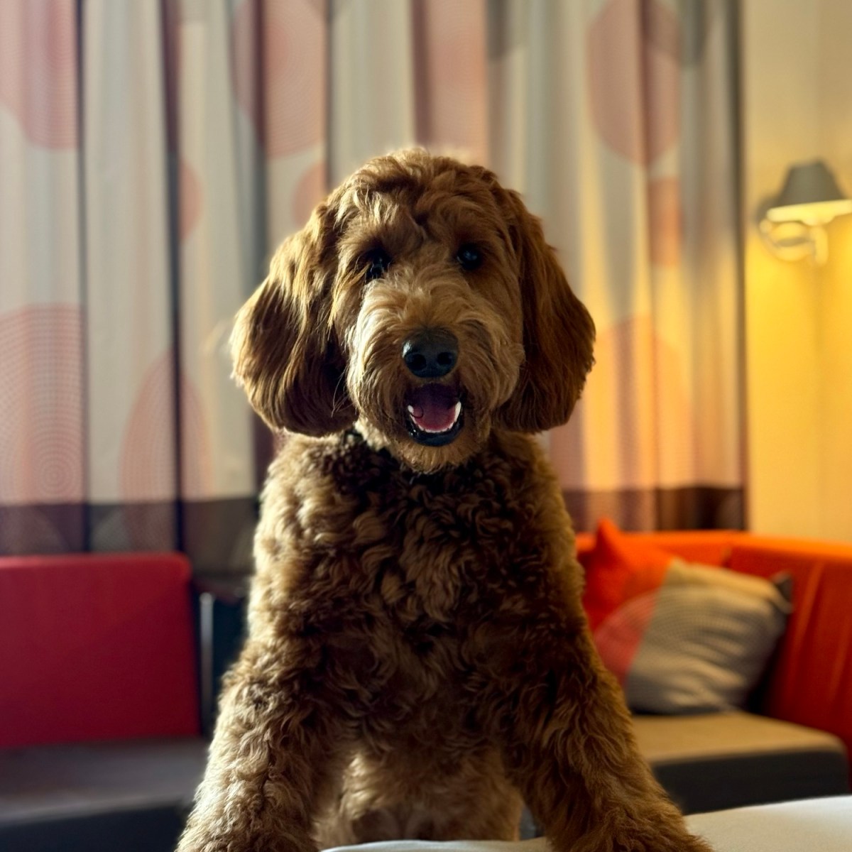 Novotel London West, Hammersmith&nbsp;London