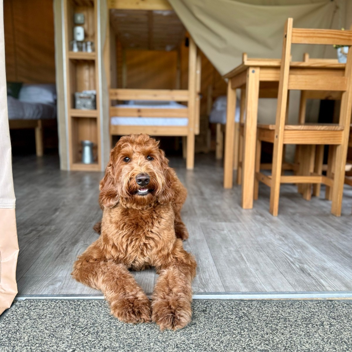 Cotswold Farm Park Holidays,&nbsp;Cotswolds