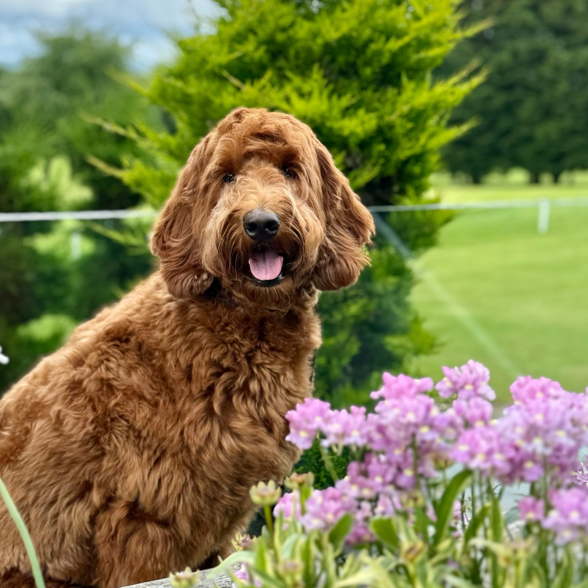 Tewkesbury Park Hotel,&nbsp;Cotswolds