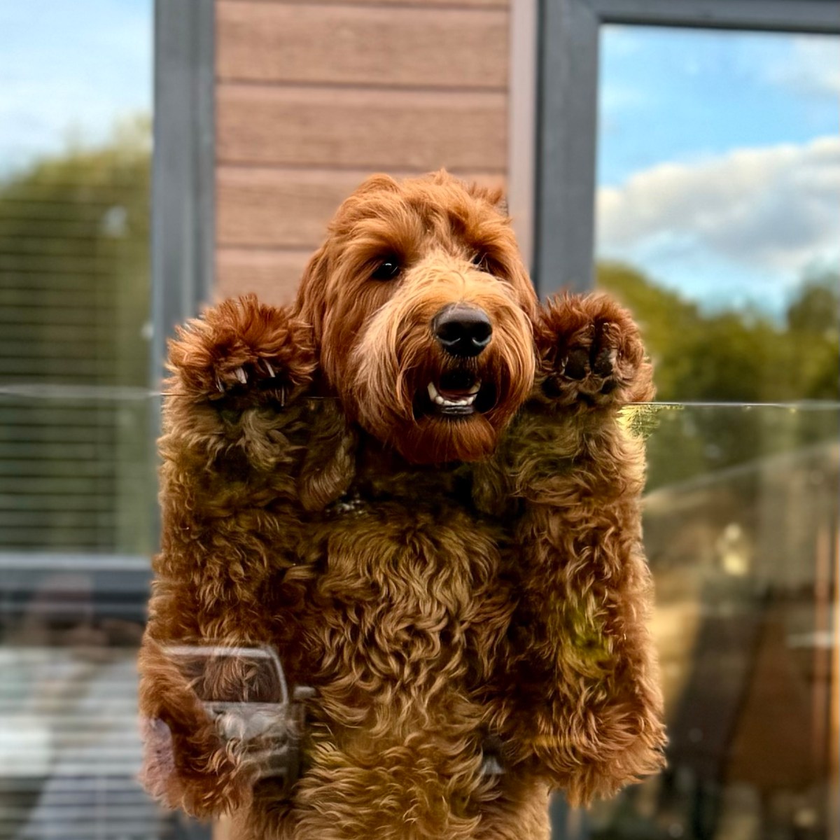 Green Hill Farm Holiday Village, New&nbsp;Forest