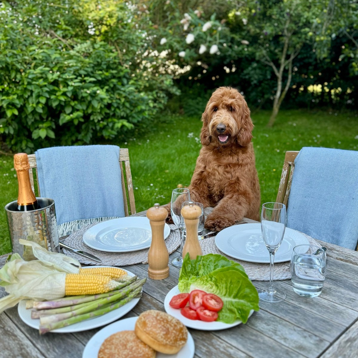 Northbrook Park Cottages,&nbsp;Surrey